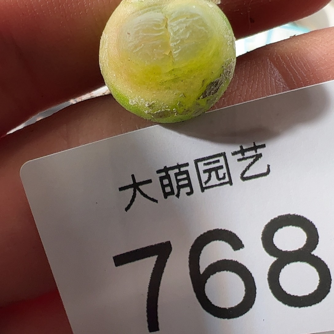 0000768 一物一拍……