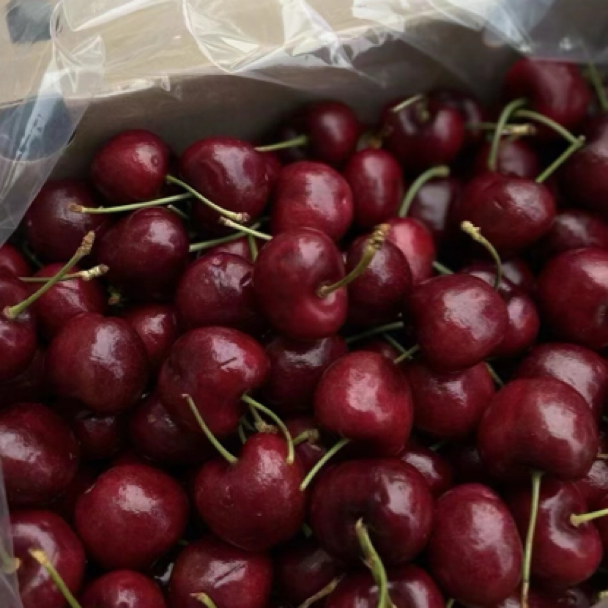 2J车厘子5斤装（空运）甜心智利