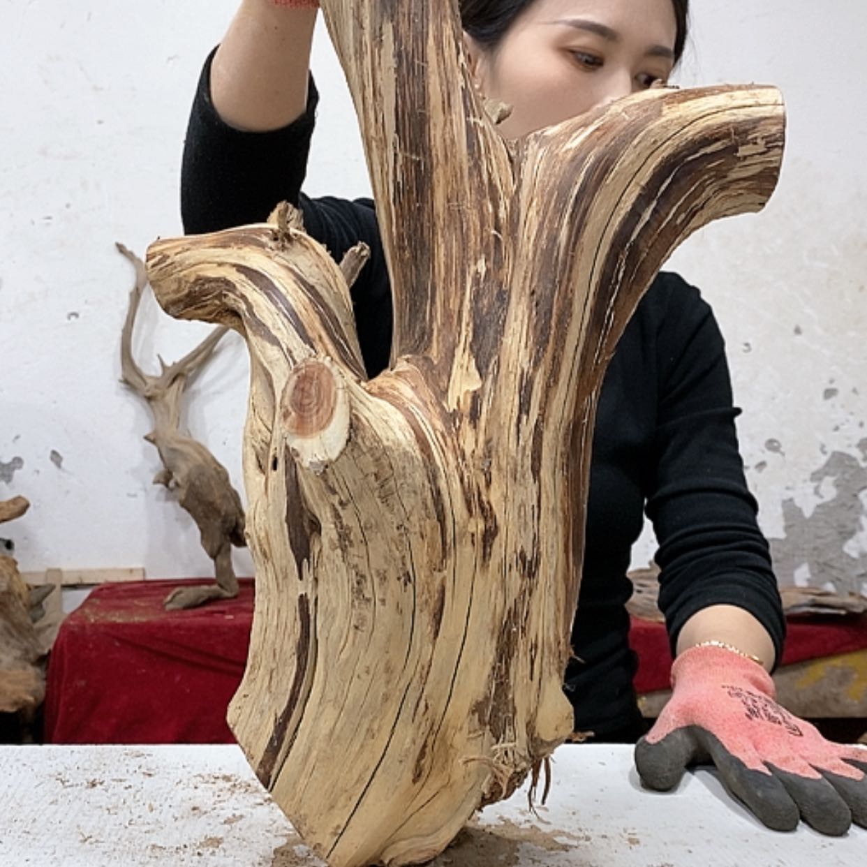 【闪购商品】柏木六**魔我们都是好孩子