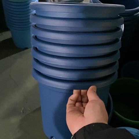 树脂微瑕3号10个无托藏青