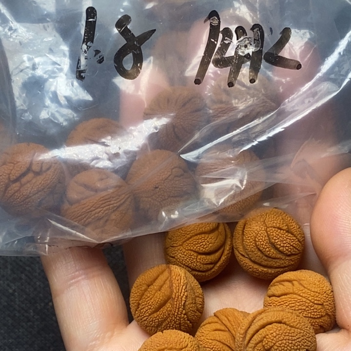 吊坠桃核秦岭山野生桃核