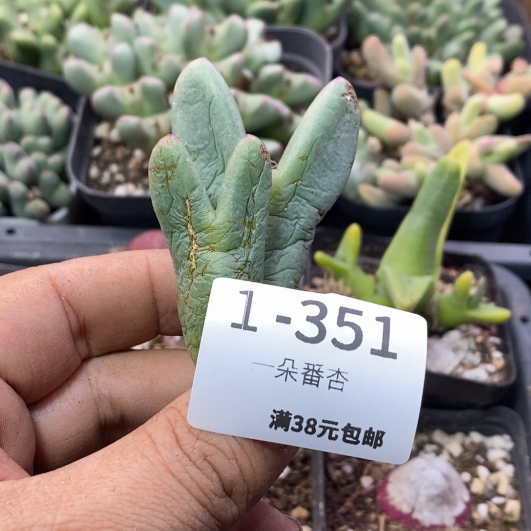 566666999999999988889