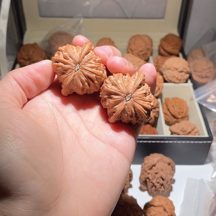 人****全40➕全品无修磨盘狮子头