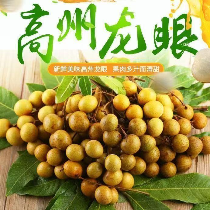 【顺丰现货包邮】广东高州新鲜龙眼水果储良鲜果现摘当季桂圆大果