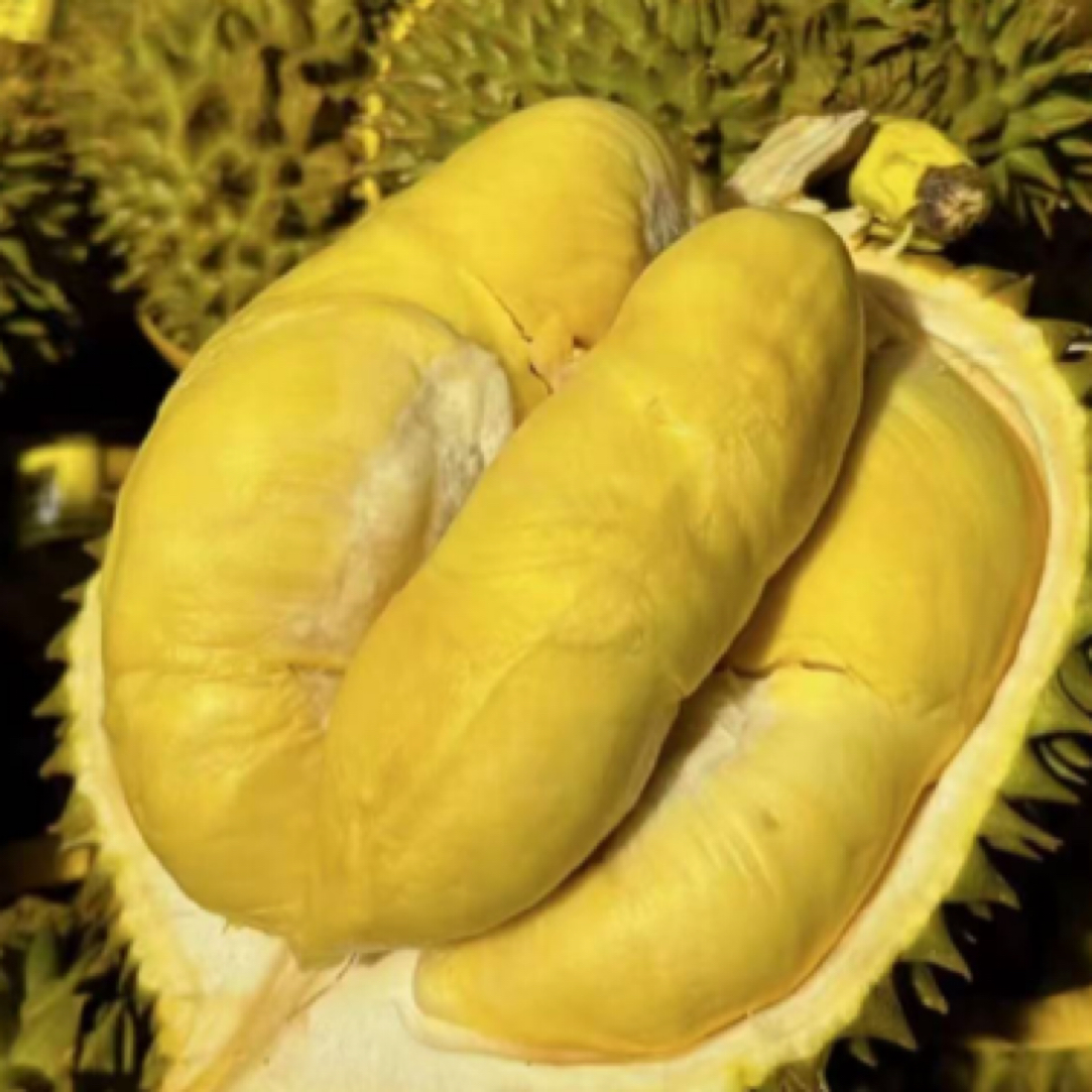 【一物一拍】泰国空运A级金枕鲜榴莲 【核小肉香】软糯香甜 同城送2斤起榴莲同城送金枕泰国东部