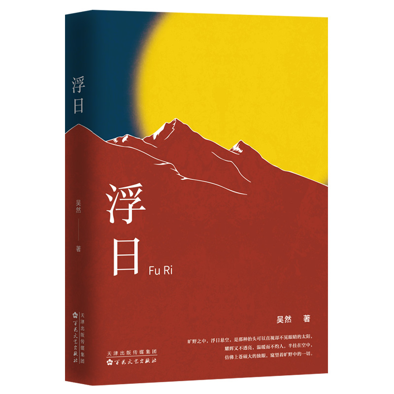 浮日 百花文艺出版社 吴然  著  长篇小说   江淮地域  