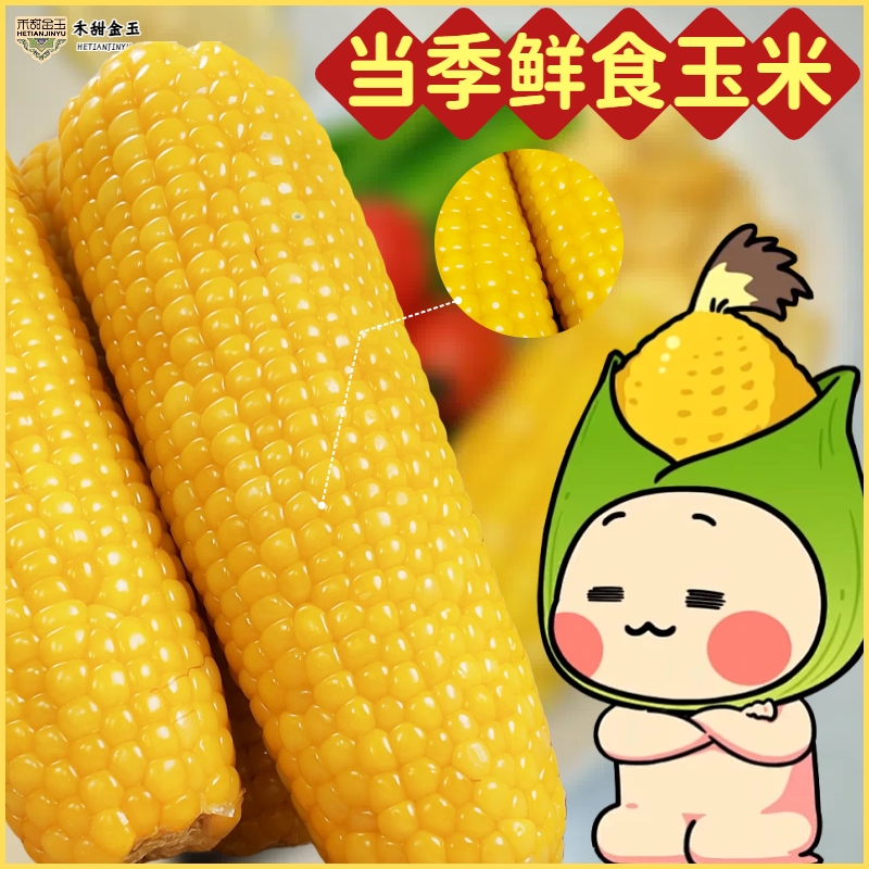 新疆和田玉米4支2.4斤