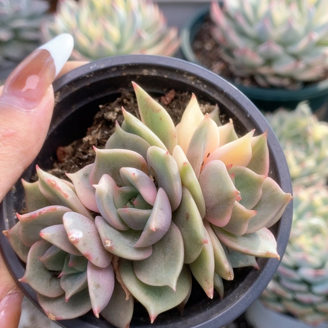 134贝加尔湖锦锦锦锦