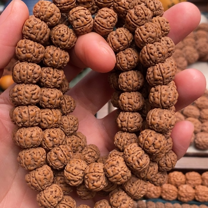 菩提芝*扎纯血老树王