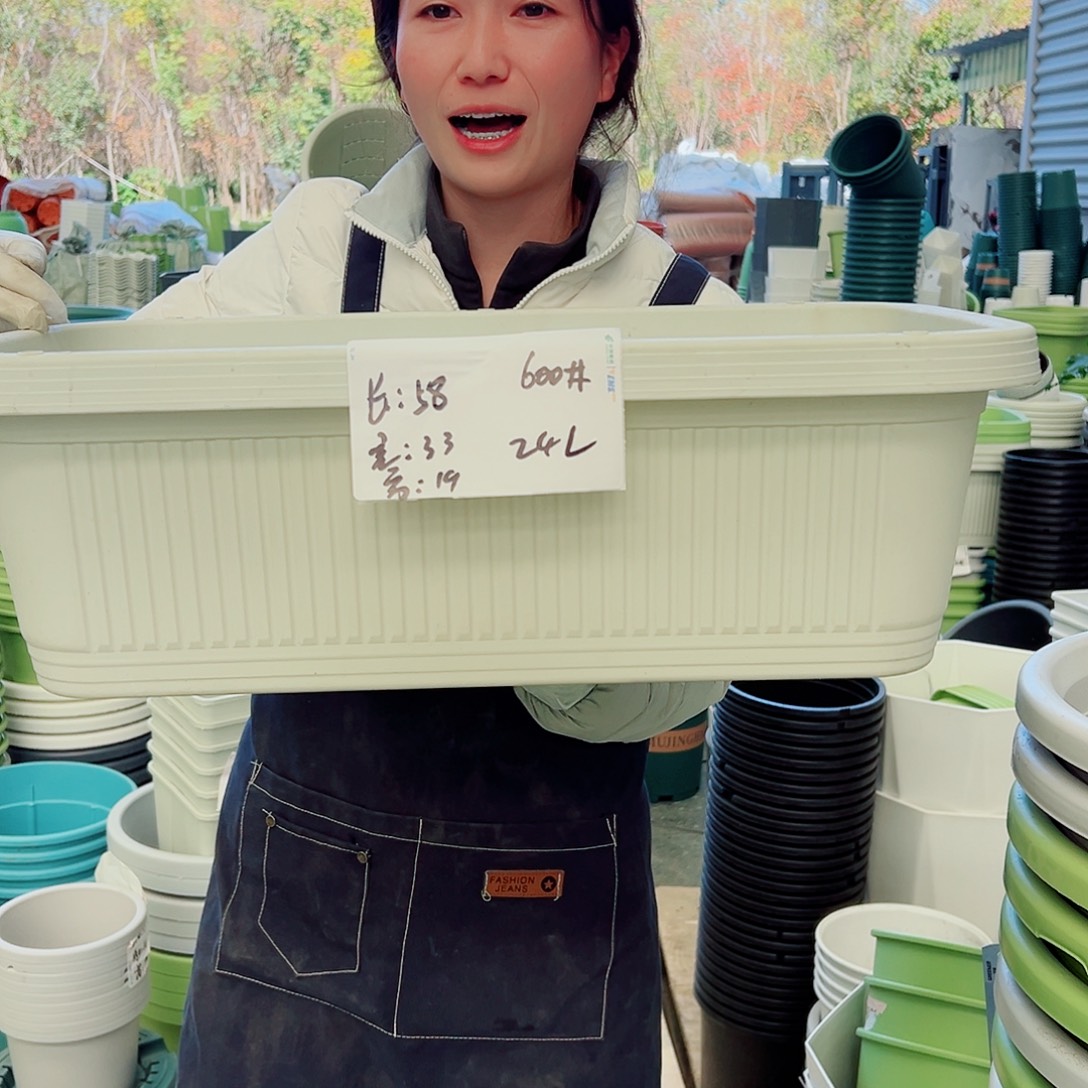 菜盆600#米白3个无托