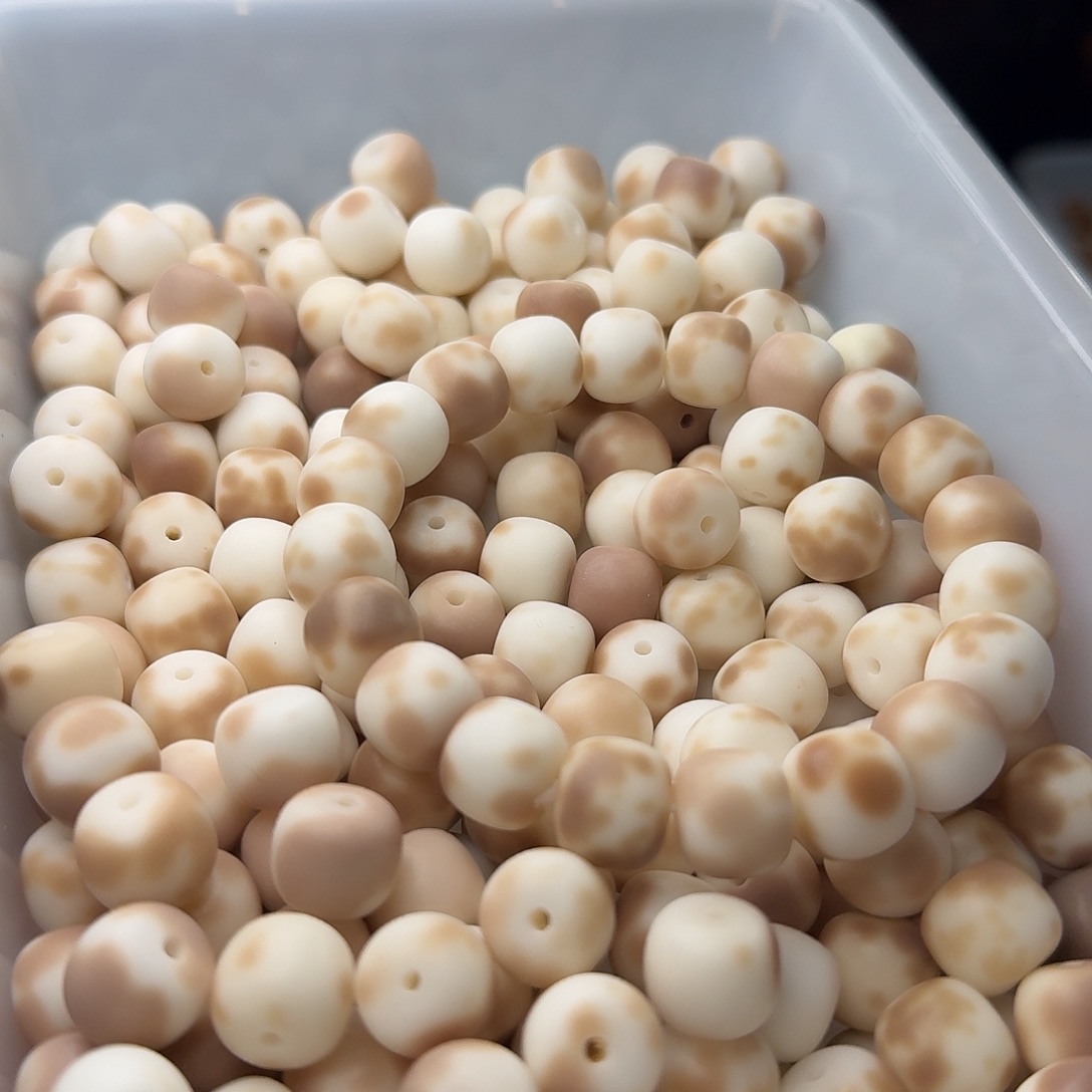 菩提根/象牙果吊坠150 颗骨瓷干磨百里 13 桶