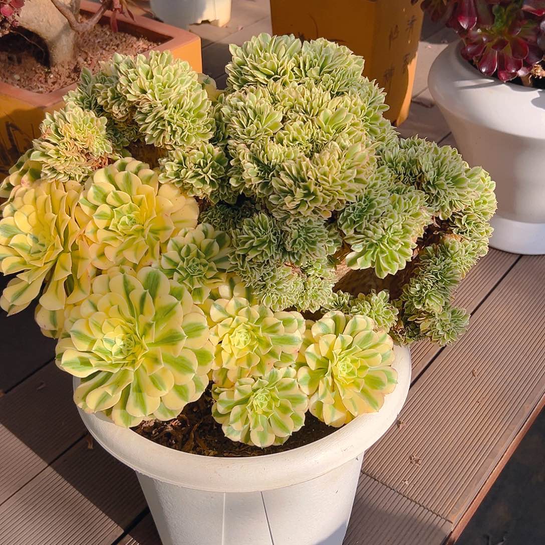 S***豆11111111111111111111