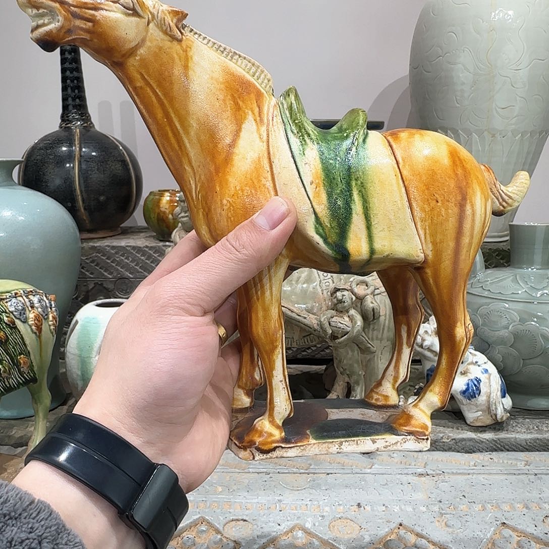 瓷片王*塘瓷瓷瓷瓷瓷瓷