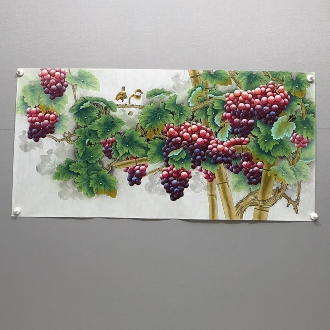 国画横幅四尺精品葡萄贾敏