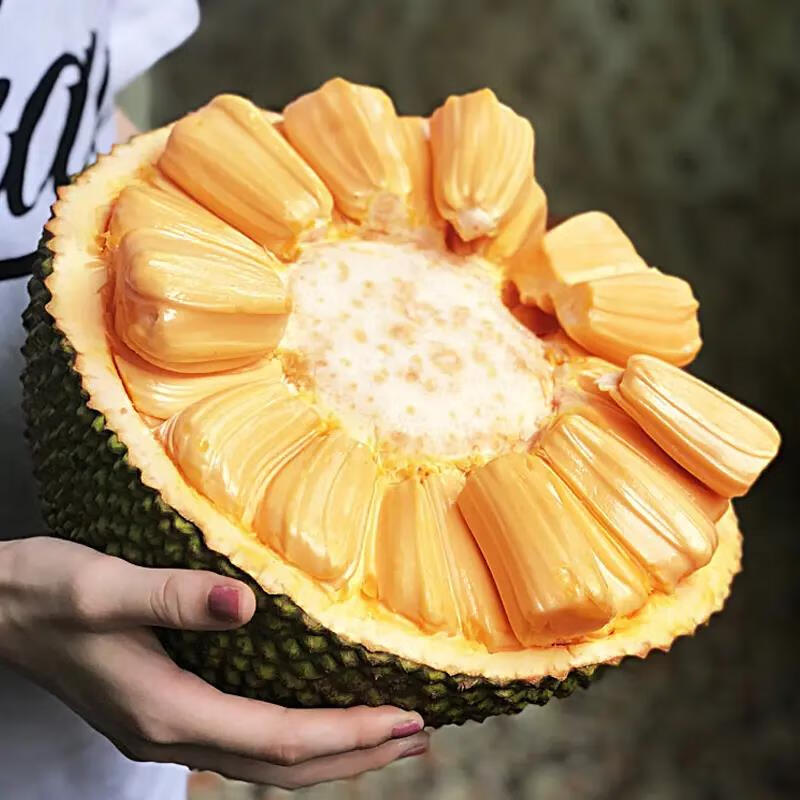 越南菠萝蜜顺丰快递整果发货新鲜6-14斤