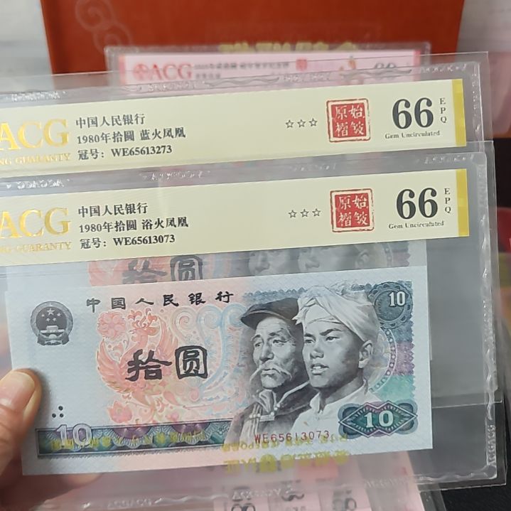 蓝火凤凰原始褶皱WE65613273➕浴火凤凰3073