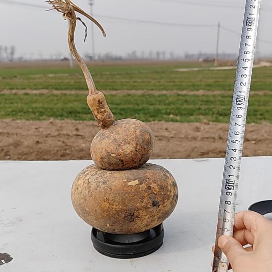 葫芦摆件葫芦摆件