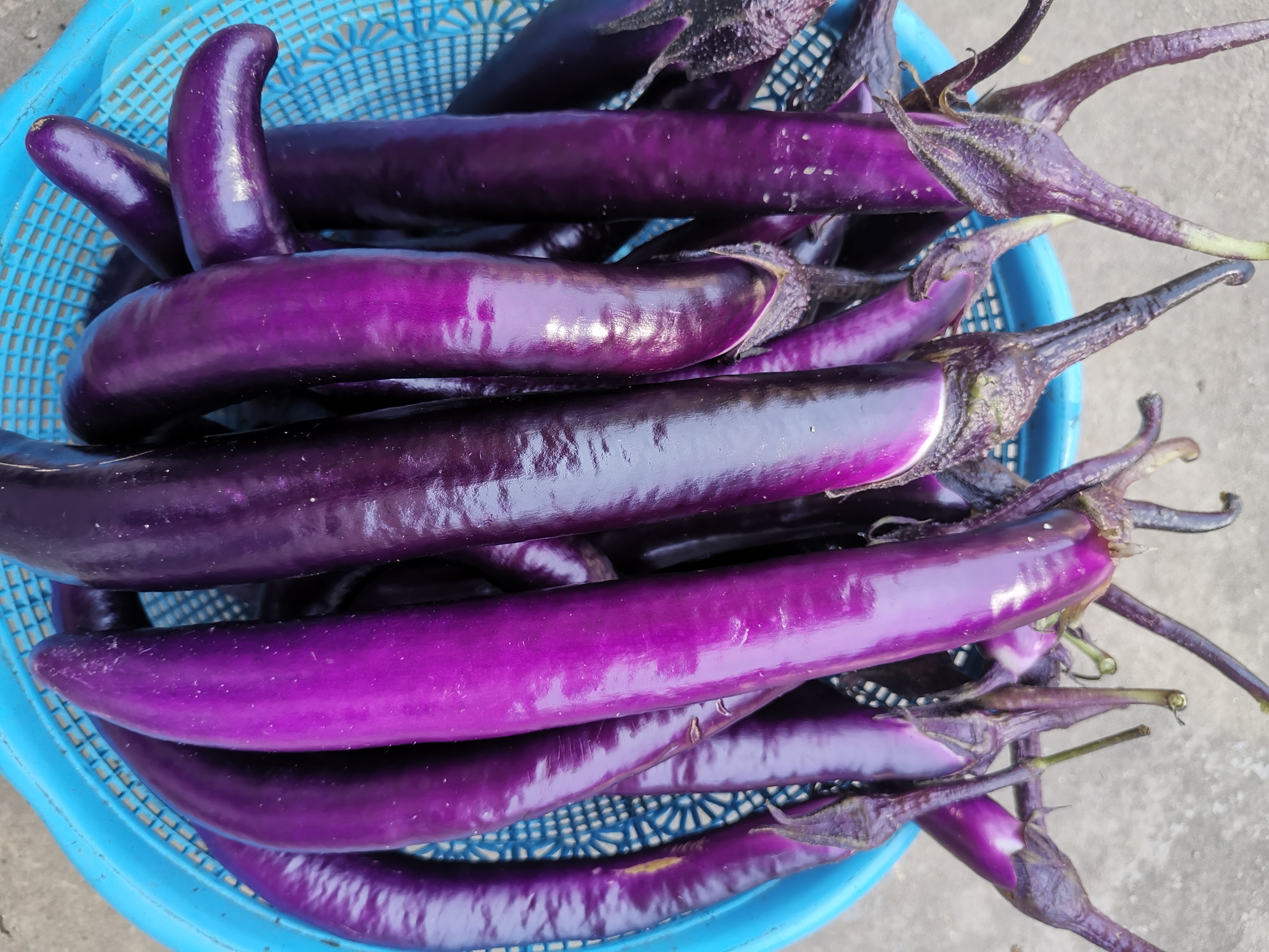 农家自种茄子，新鲜采摘口感好。