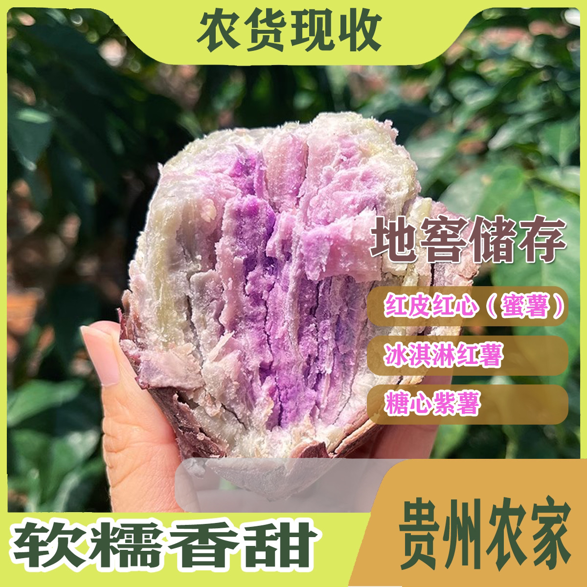 「农散户种植」贵州番薯（新鲜现挖）老品种红心红薯紫薯冰淇淋红薯