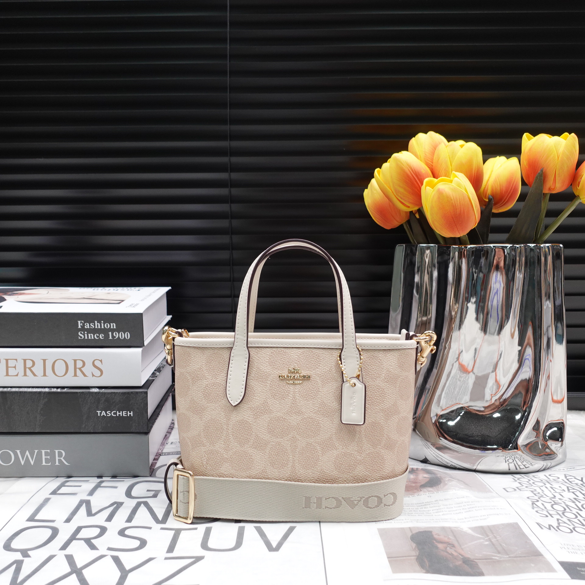 95新 COACH/蔻驰 单肩包/T10212906