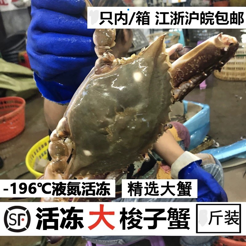 【半斤大母蟹】舟山东海野生海捕梭子蟹4-6两/只到手8只约4斤【冻蟹】