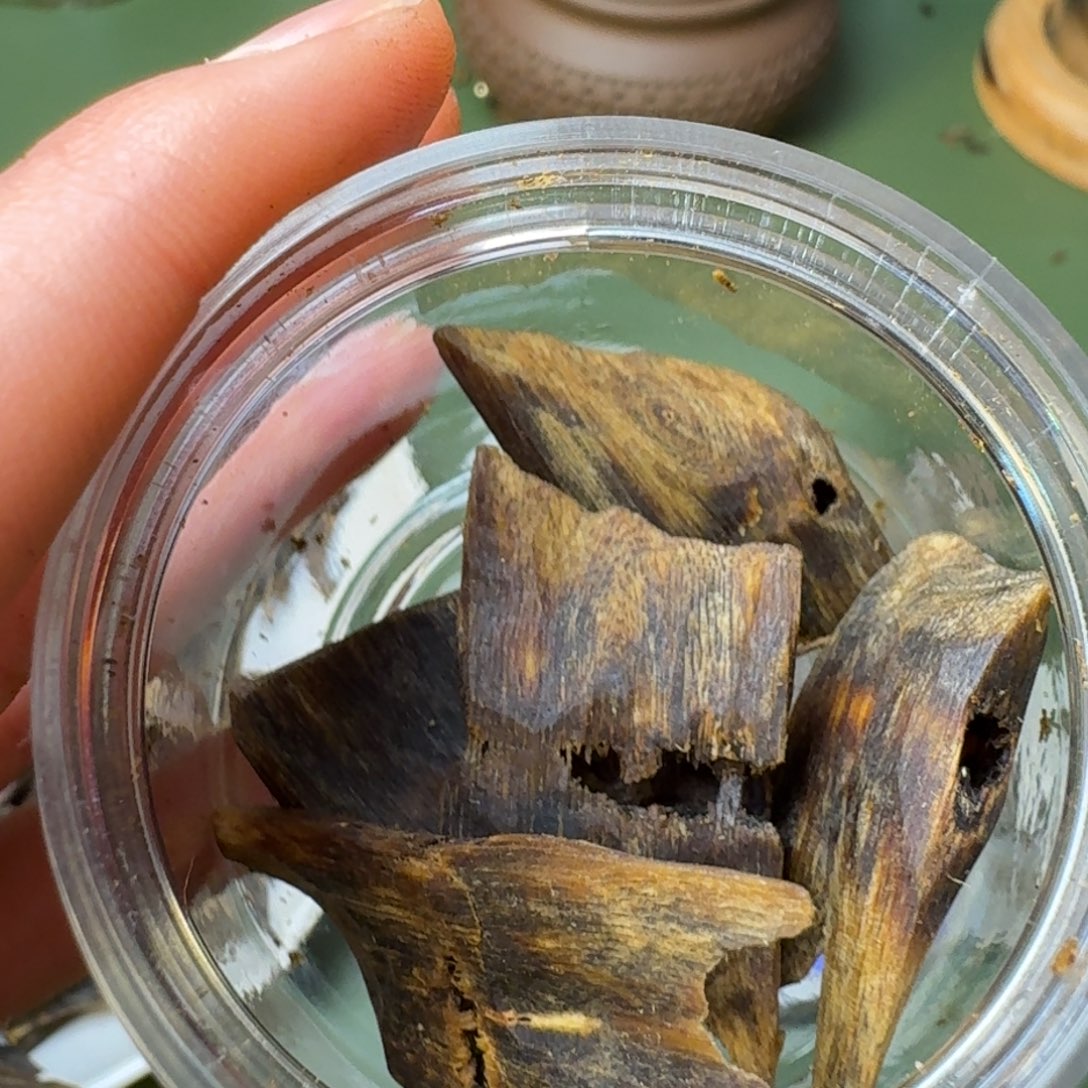 沉香手把件海南老白棋沉水高端老块料10克