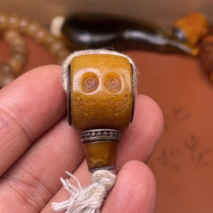 驼骨其他人工养殖