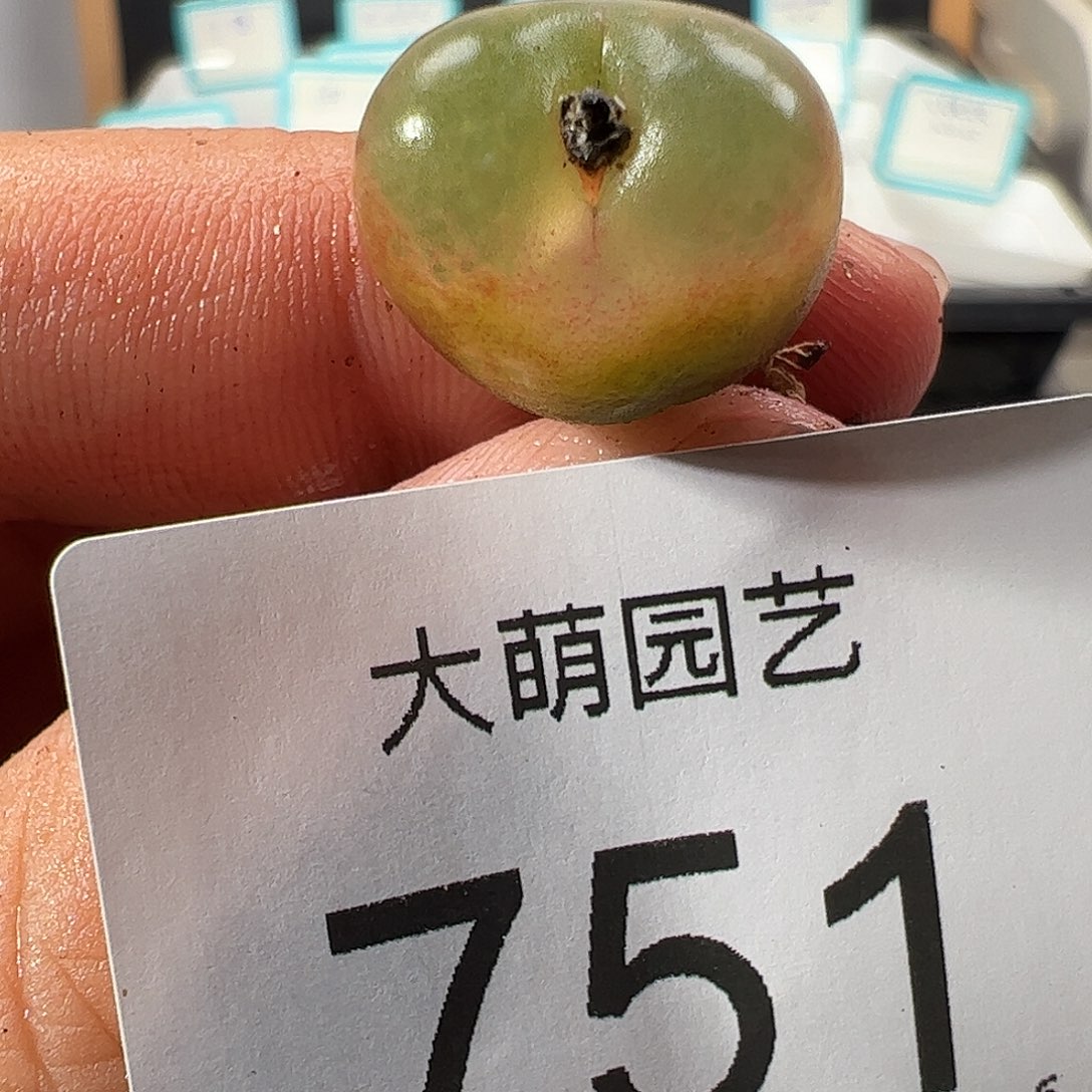 0000751 一物一拍……