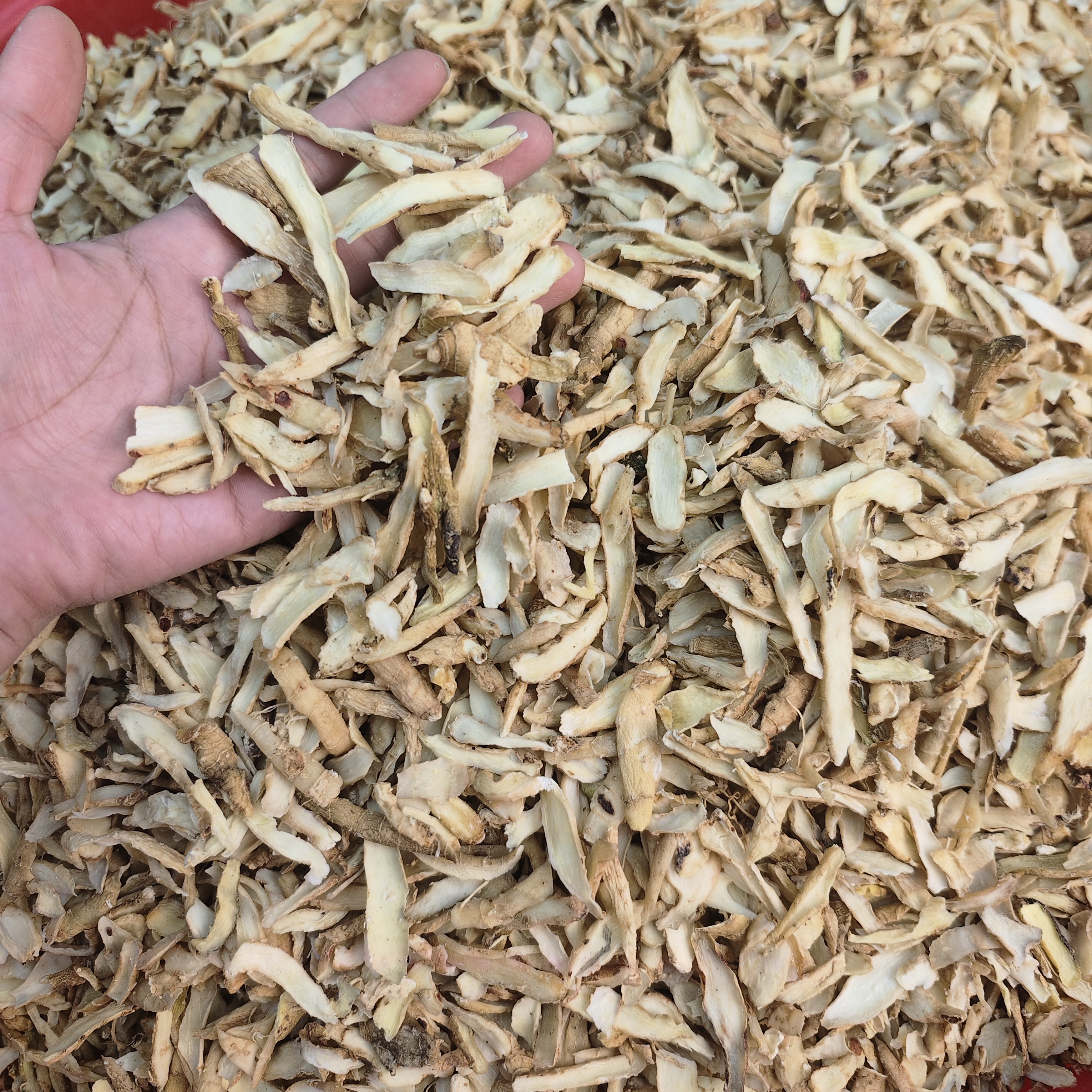 （专属链接玉竹碎）无硫磺足干味道甜香初级农产品