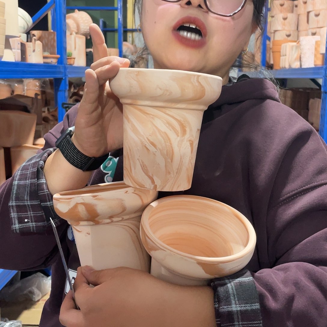 红陶13      3    马