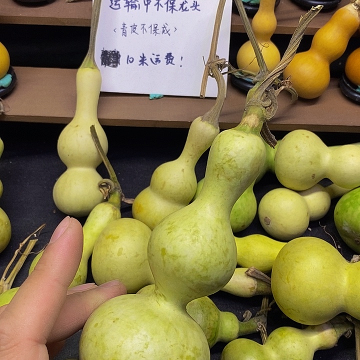 乒*迷长嘴哈哈哈哈哈哈哈哈哈哈哈哈哈哈好