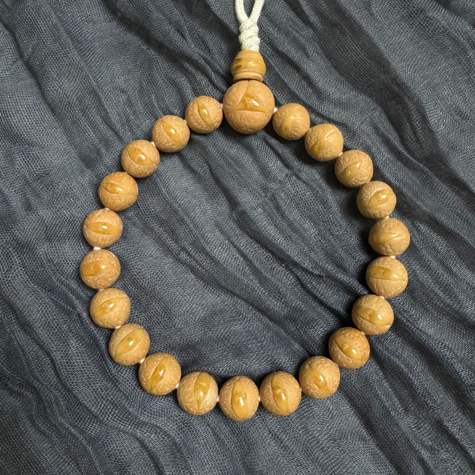 12mm尼泊尔小凤眼 2025新籽 黄金眼