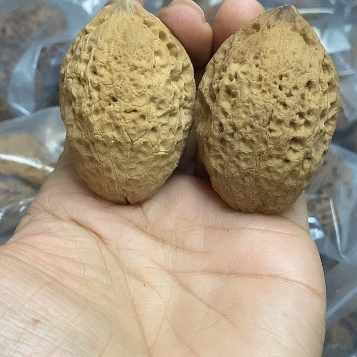 文玩核桃把件云南铁核桃基地76