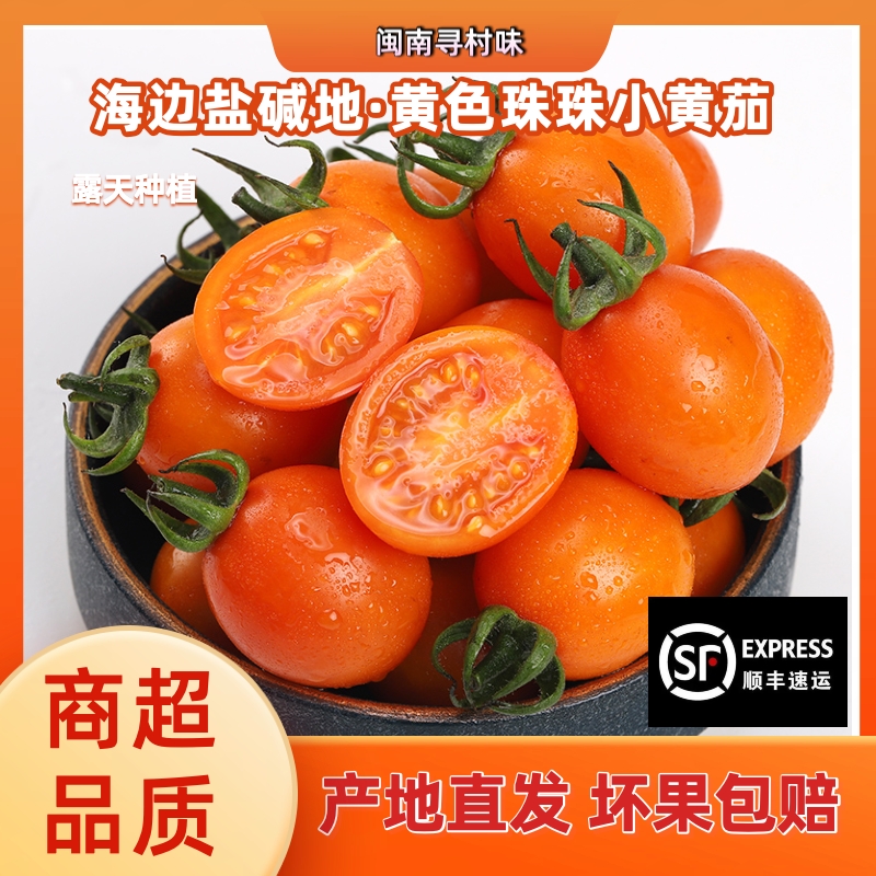 顺丰包邮珠珠小黄茄海边盐碱地金玲珑小番茄圣女果孕妇新鲜水果
