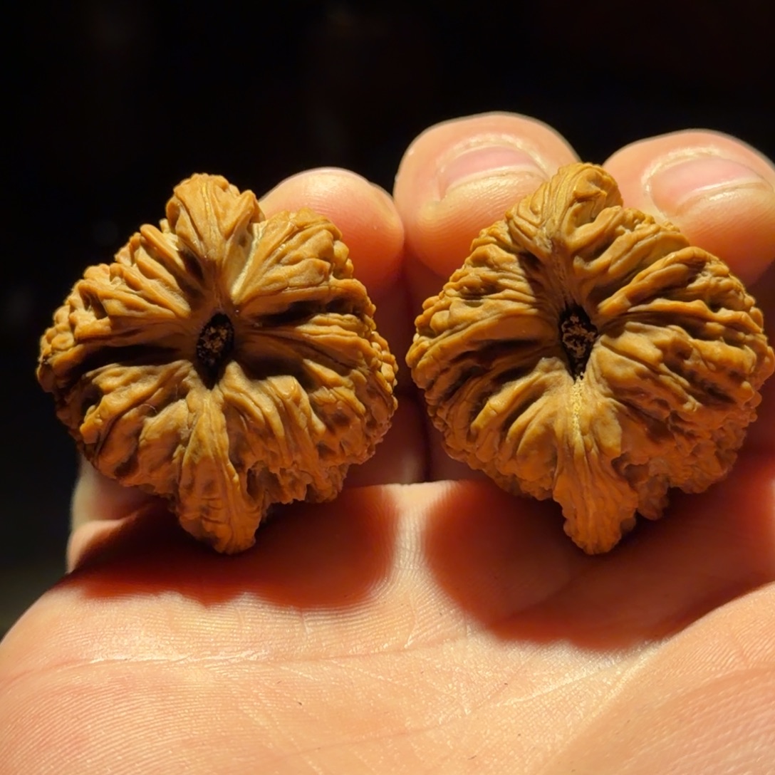 七***筒文玩核桃吊坠39南疆