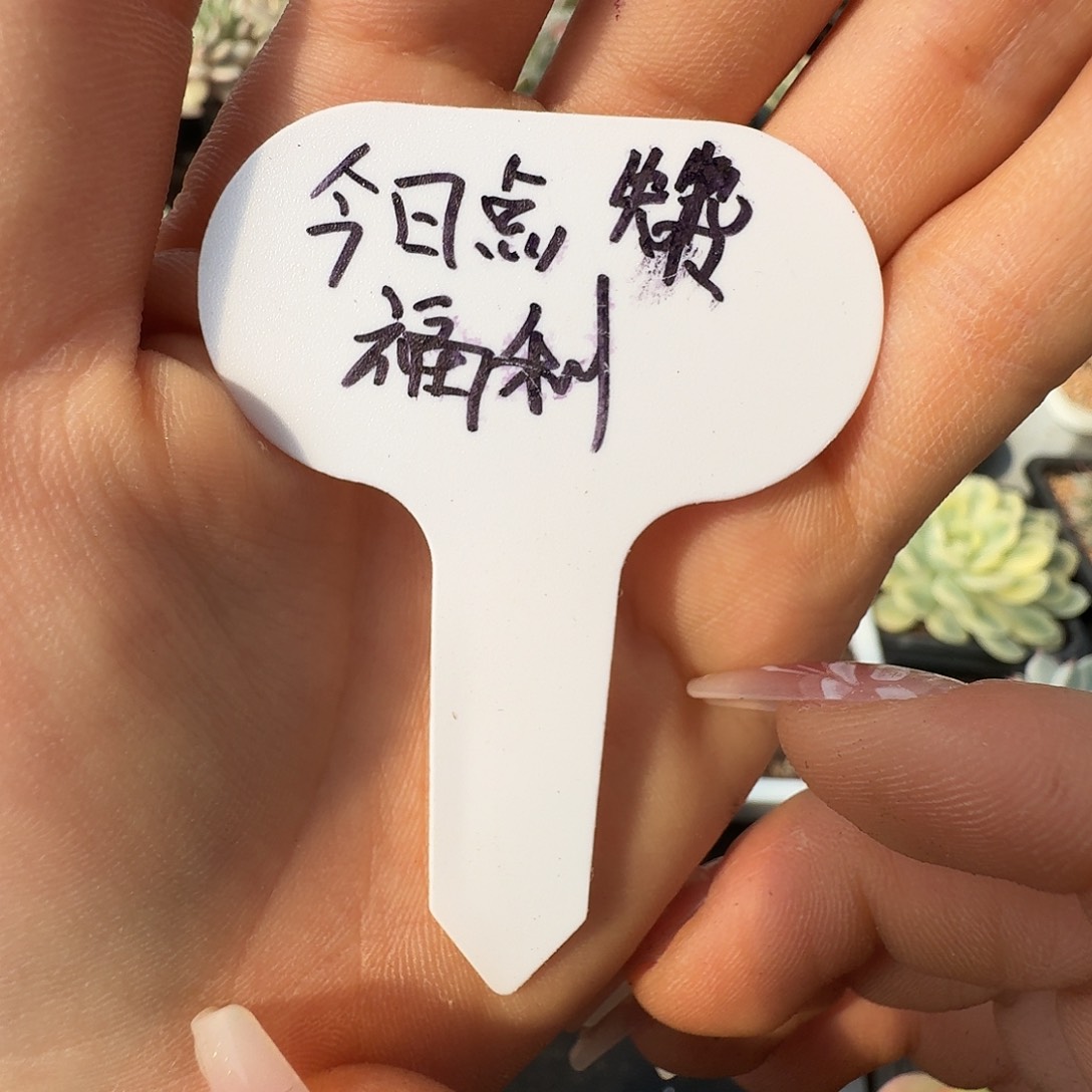 7.29上午一万赞福利