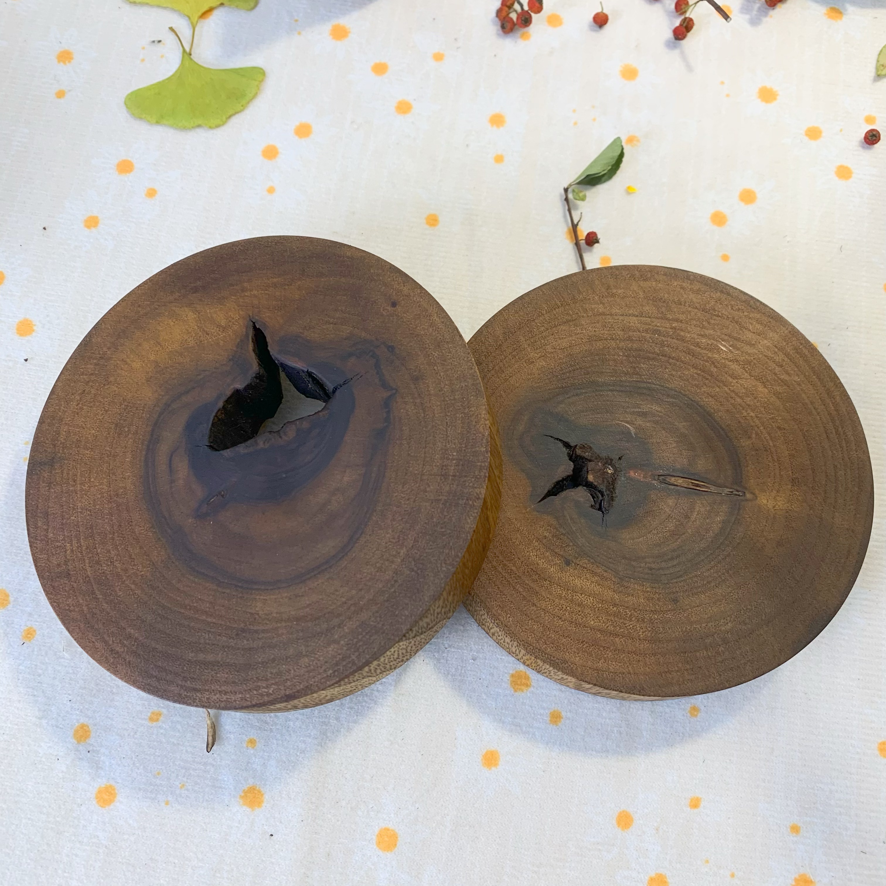 原木侘寂风老树隔热垫餐桌垫杯垫干泡绿植花托底托简约木垫片