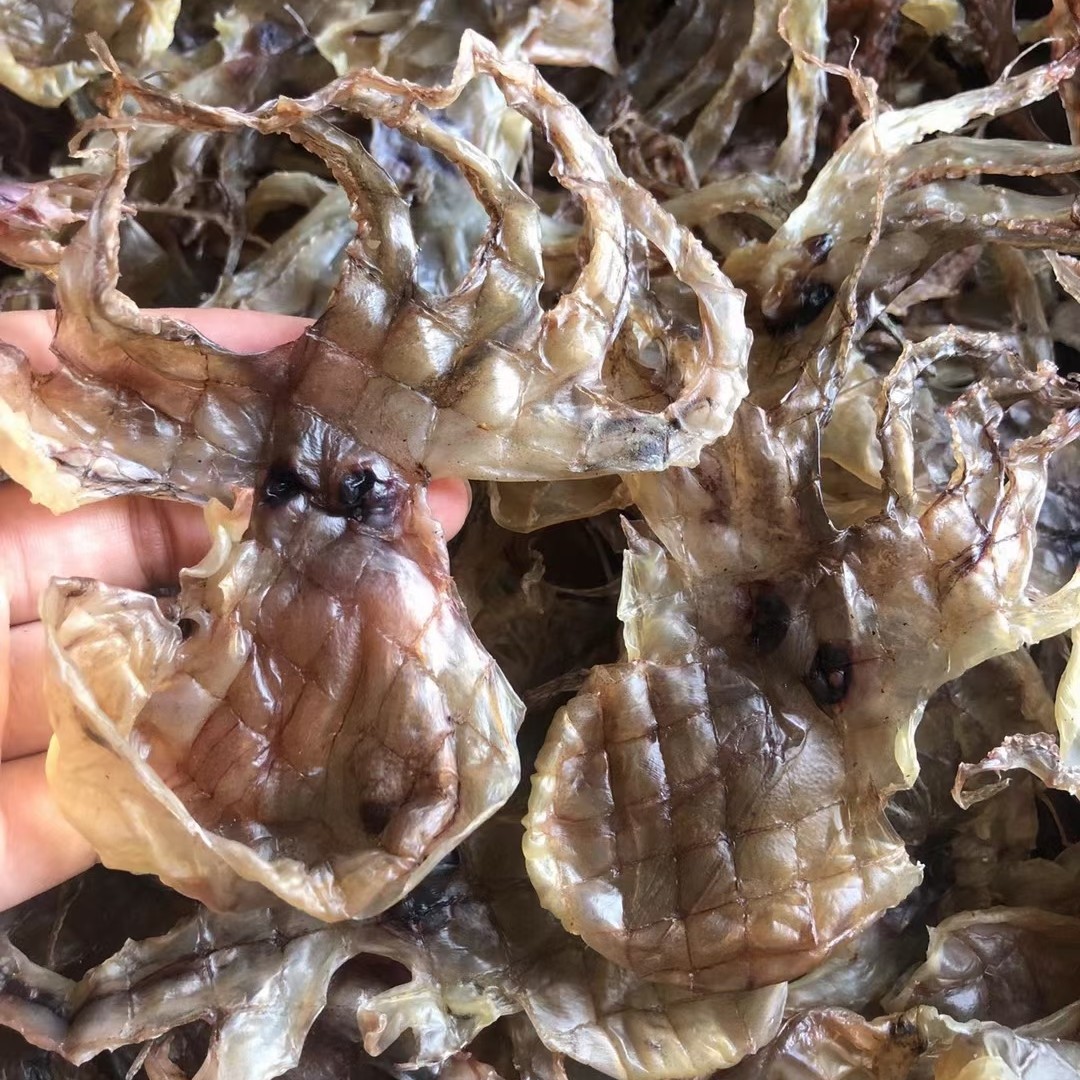 本地沙章干八爪鱼干煲汤煲粥