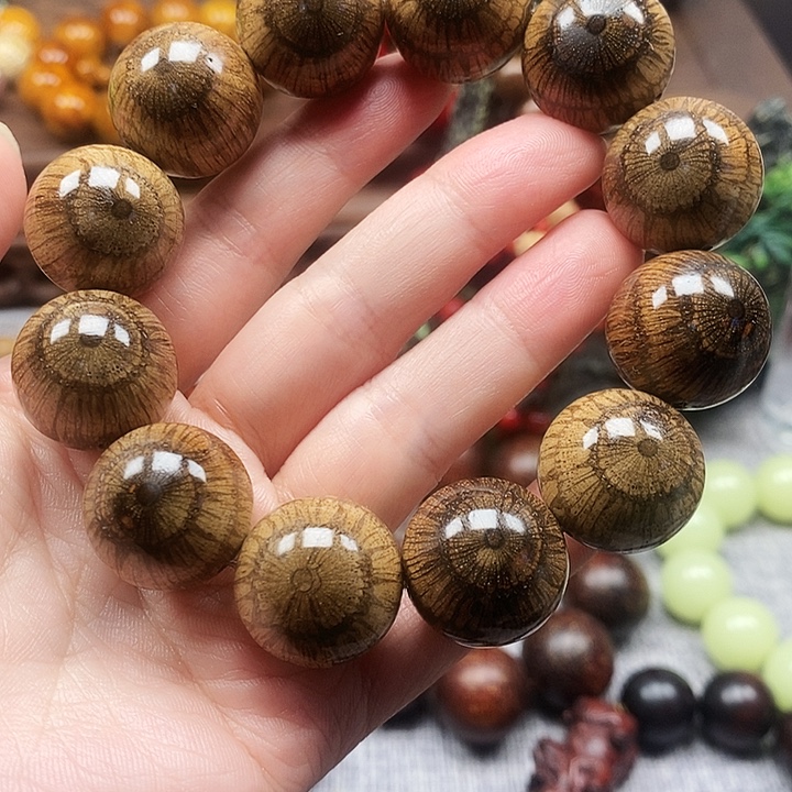 静***心其他藤类买麻藤2.0