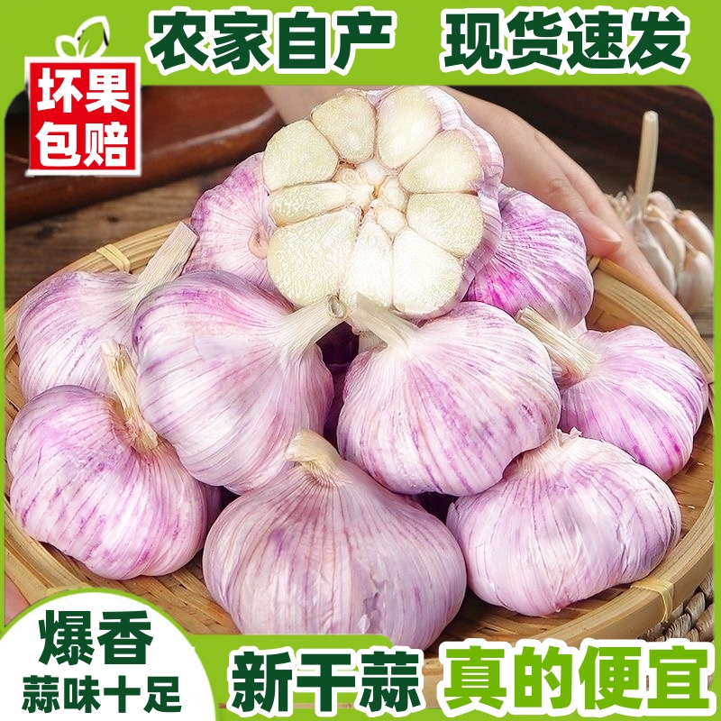 25年农家新干蒜头紫皮白皮干大蒜农家辛辣饱满炒菜调味可吃可种