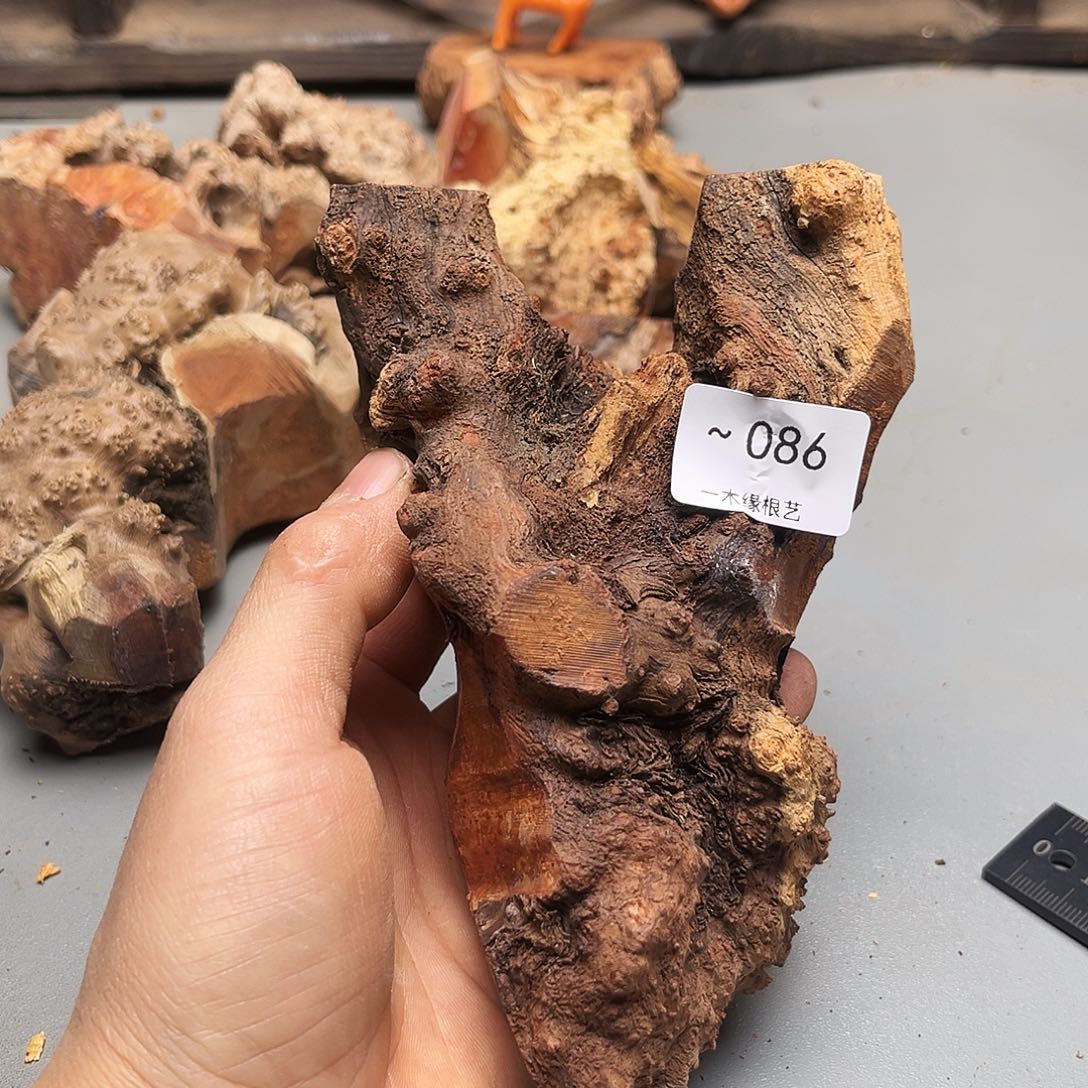 庆***年无花朵00000000086