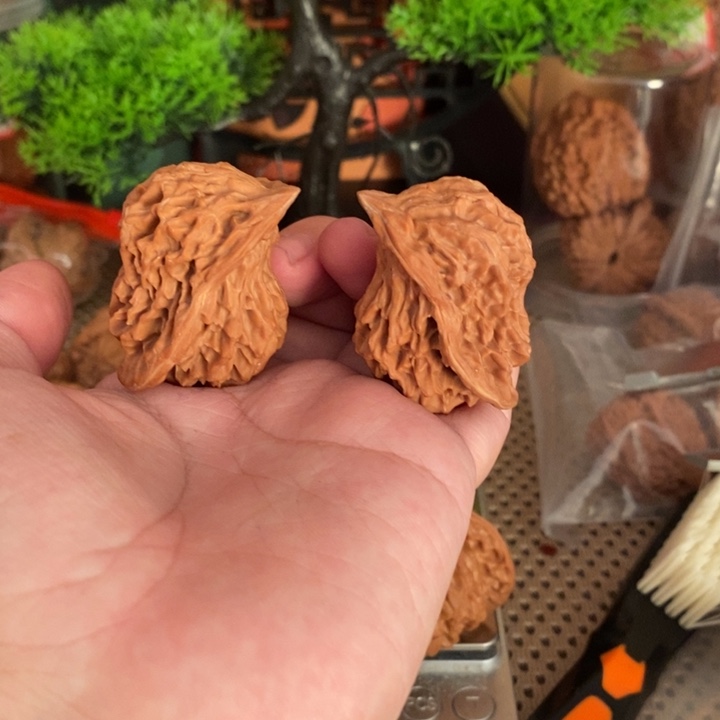 核桃手串/手链盘山小鸟