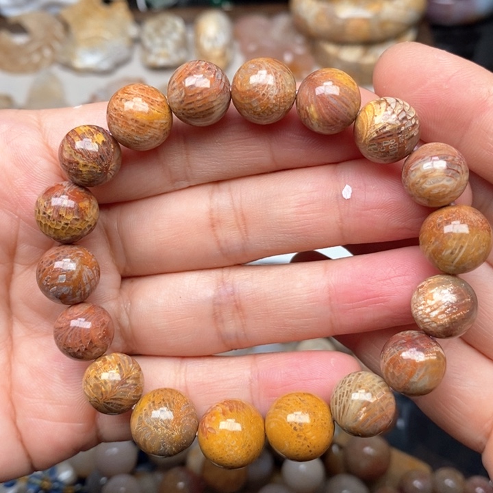 硅化珊瑚（珊瑚玉）手镯未镶嵌