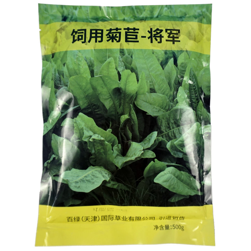 百萌将军菊苣种子多年生阔叶四季耐寒猪鸡鸭鹅鱼兔喜食牧草种籽