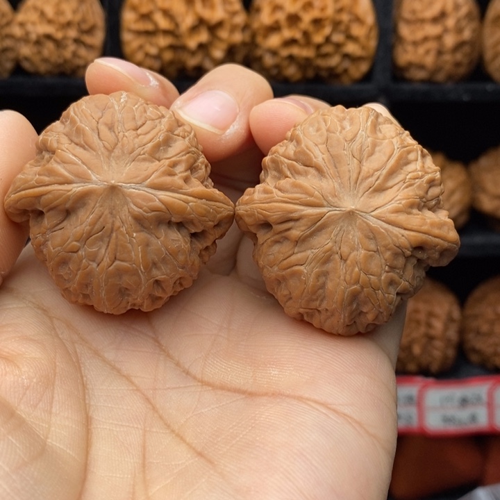 一****核桃平谷铁锤妹妹40尺全品