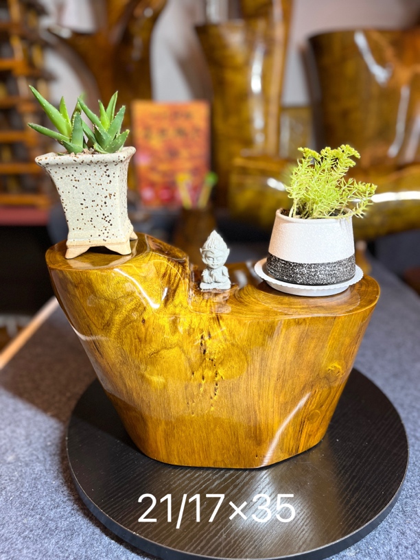 1小叶桢楠金丝楠木中式工艺品摆件 花架 茶托 小墩墩 底部可闻香