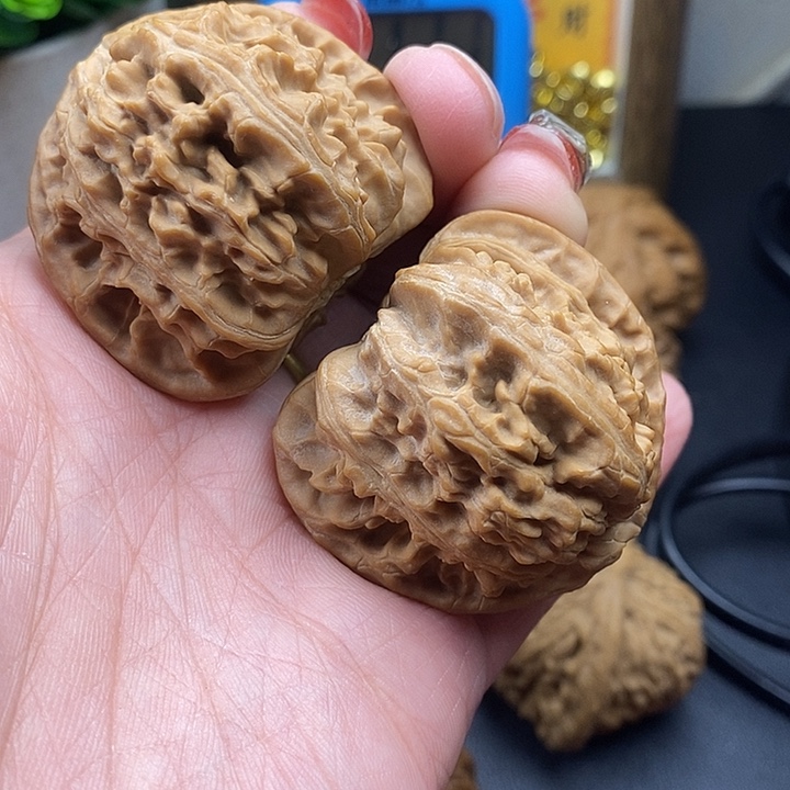 龙脊菩提吊坠三角白44