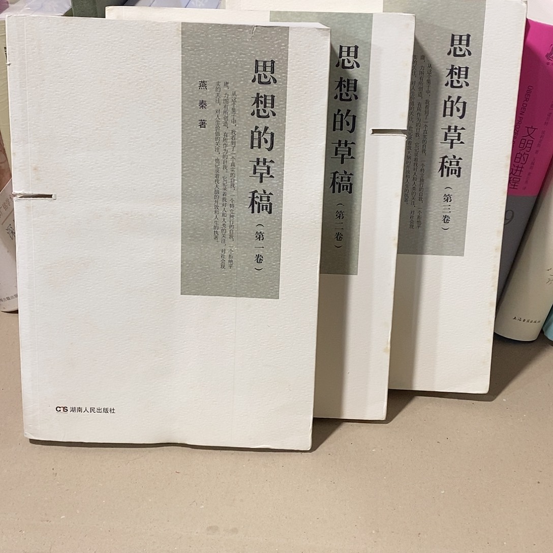 思想的草稿 全三卷