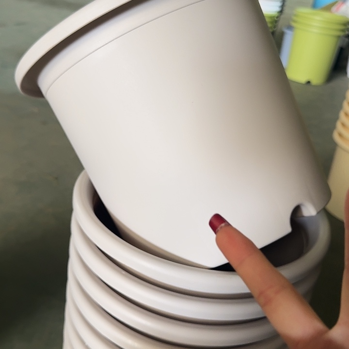 四季6号灰白无托7个特价微瑕