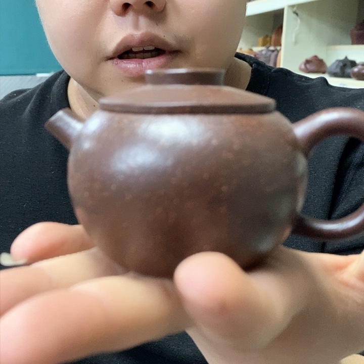 紫砂茶壶儿肉体天人